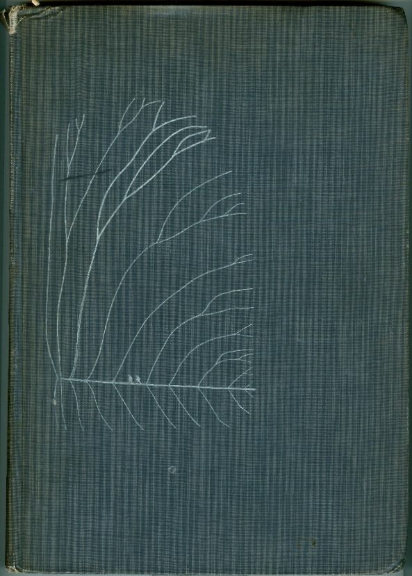 naevecover