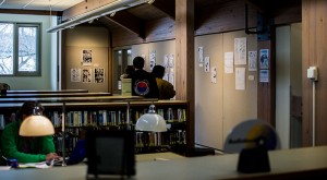 Viewing the artwork