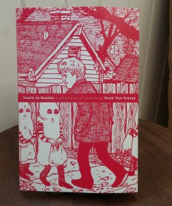 Youth is Wasted by Noah Van Sciver