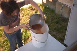 Catherine Garberino ('17) pouring some fresh apple cider into the jug.