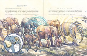 Spread from How to Be an Elephant