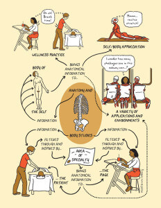 WillbergTEACHAnatomy