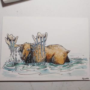 Moose illustration by Stephanie Zuppo