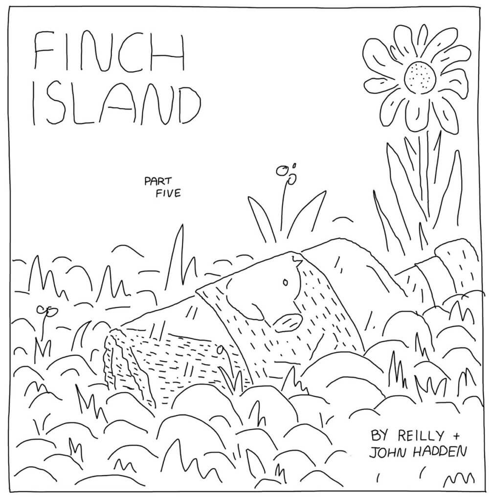Finch Island, issue 5